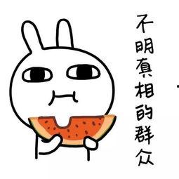 娱乐吃瓜酱的背景图